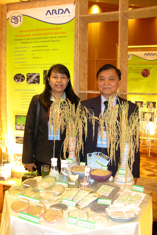 09-Jul-2009 08:50, Canon Canon DIGITAL IXUS 80 IS, 2.8, 6.2mm, 0.125 sec, ISO 250 View at Picasa